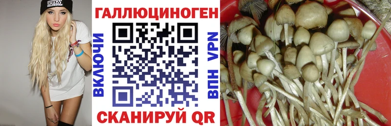 Псилоцибиновые грибы Magic Shrooms  Купить закладки  Мурманск 